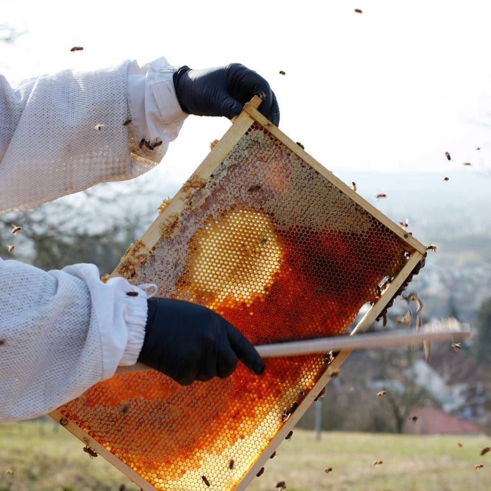 Bienen Patenschaft - Imker in Aktion