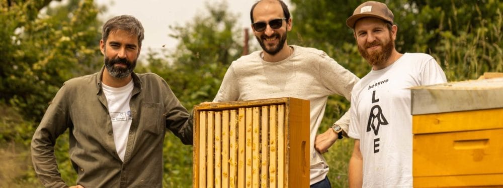 Excursion to our bee colony