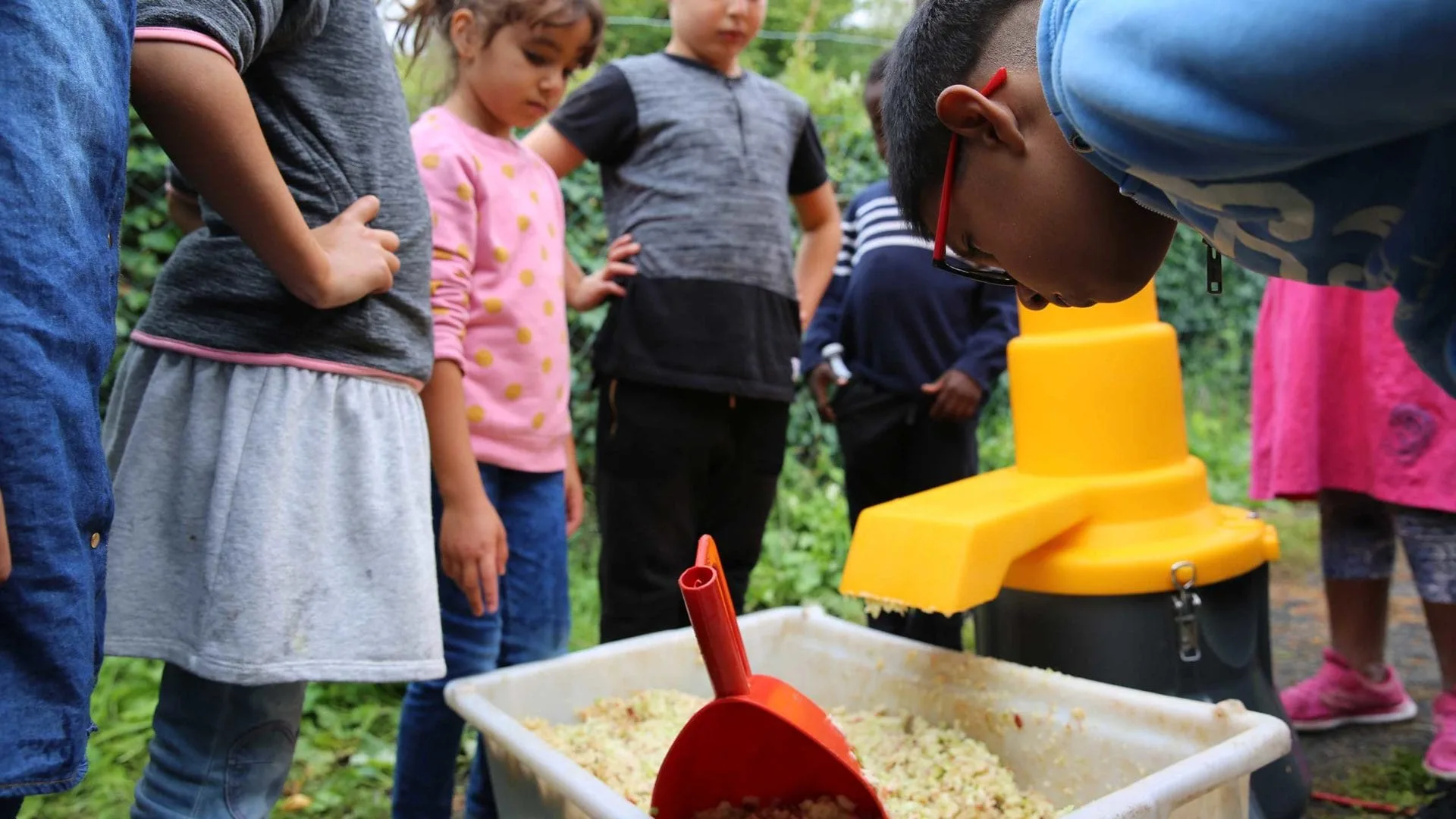 Ausflug zum Apfelhof: Bei der MILK. Mahlzeit-Aktion werden Äpfel in einer Kernobstmühle zerkleinert.