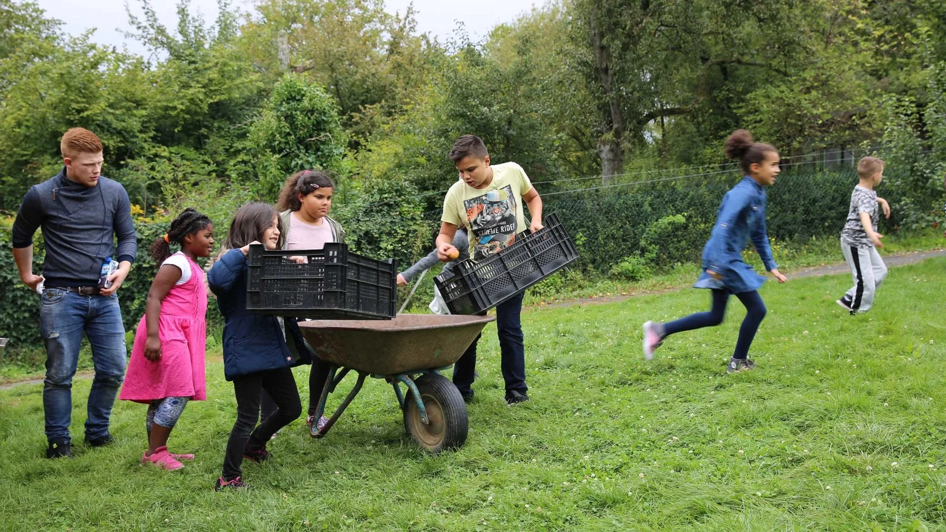 Ausflug zum Apfelhof: MILK. Mahlzeit macht mit der Arche Frankfurt einen Ausflug auf die Steuobstwiesen.