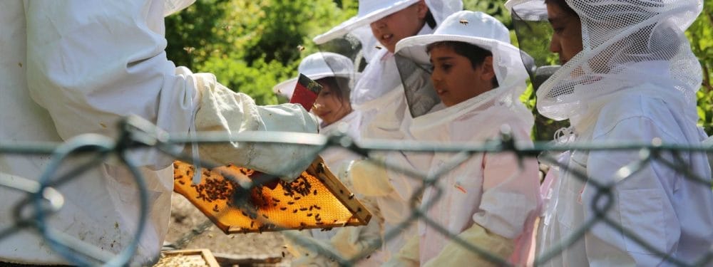 Aktion Mahlzeit bei den Imkern. Die Kinder dürfen in echte Imkeranzüge anziehen und kommen ganz nah an die Bienen heran.