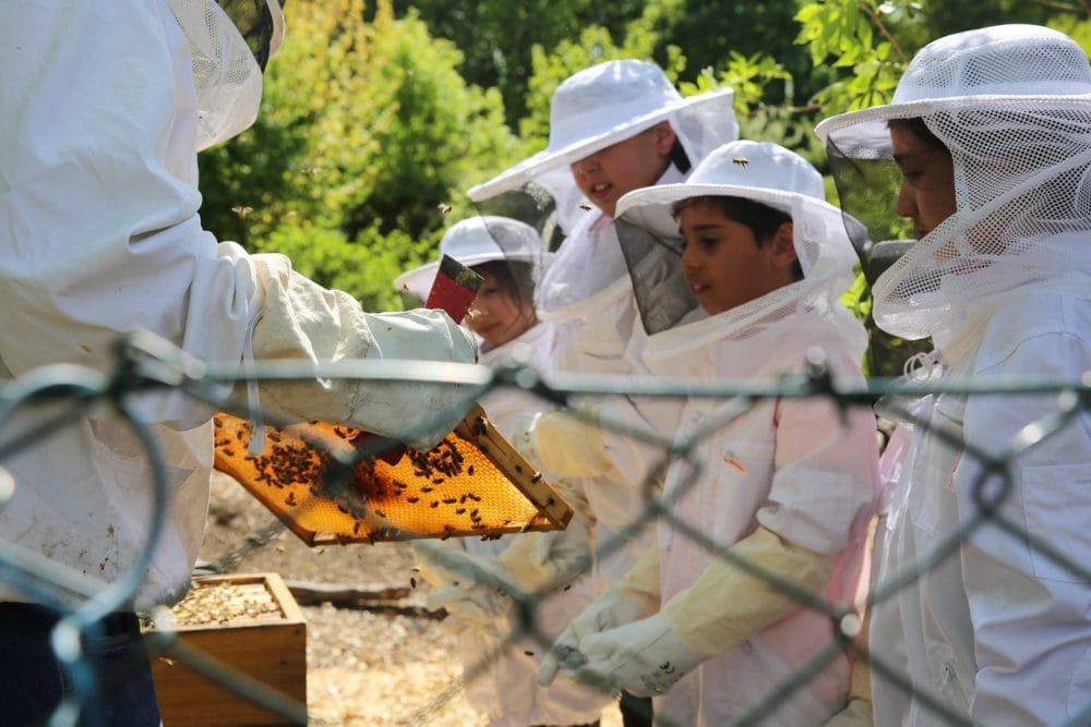 Aktion Mahlzeit bei den Imkern. Die Kinder dürfen in echte Imkeranzüge anziehen und kommen ganz nah an die Bienen heran.