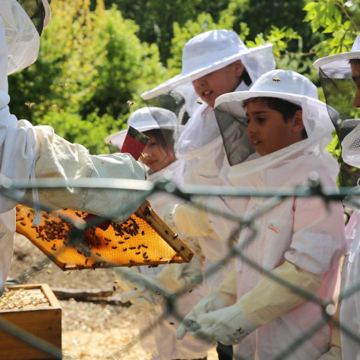 Aktion Mahlzeit bei den Imkern. Die Kinder dürfen in echte Imkeranzüge anziehen und kommen ganz nah an die Bienen heran.