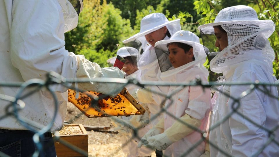 Meal time with the beekeepers. The children are allowed to put on real beekeeper suits and get up close to the bees. 
