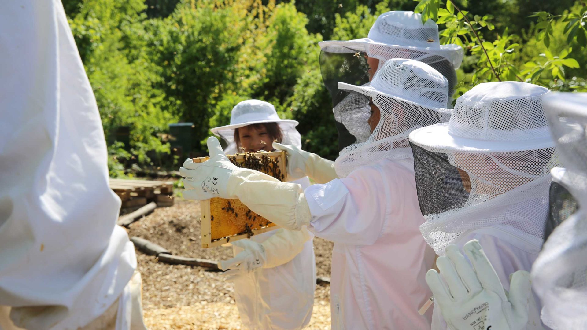 Bienenlehrpfad: Aktion Mahlzeit bei den Imkern. Die Kinder dürfen in echte Imkeranzüge anziehen und kommen ganz nah an die Bienen heran.
