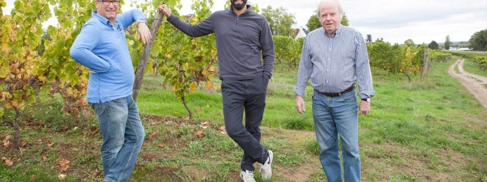 Besuch auf dem Weingut