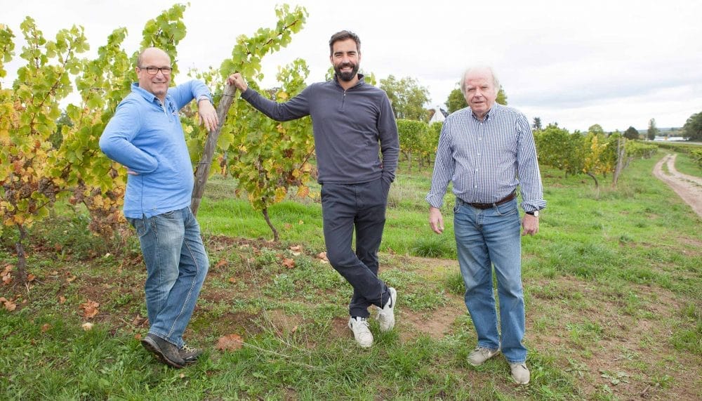 Besuch auf dem Weingut