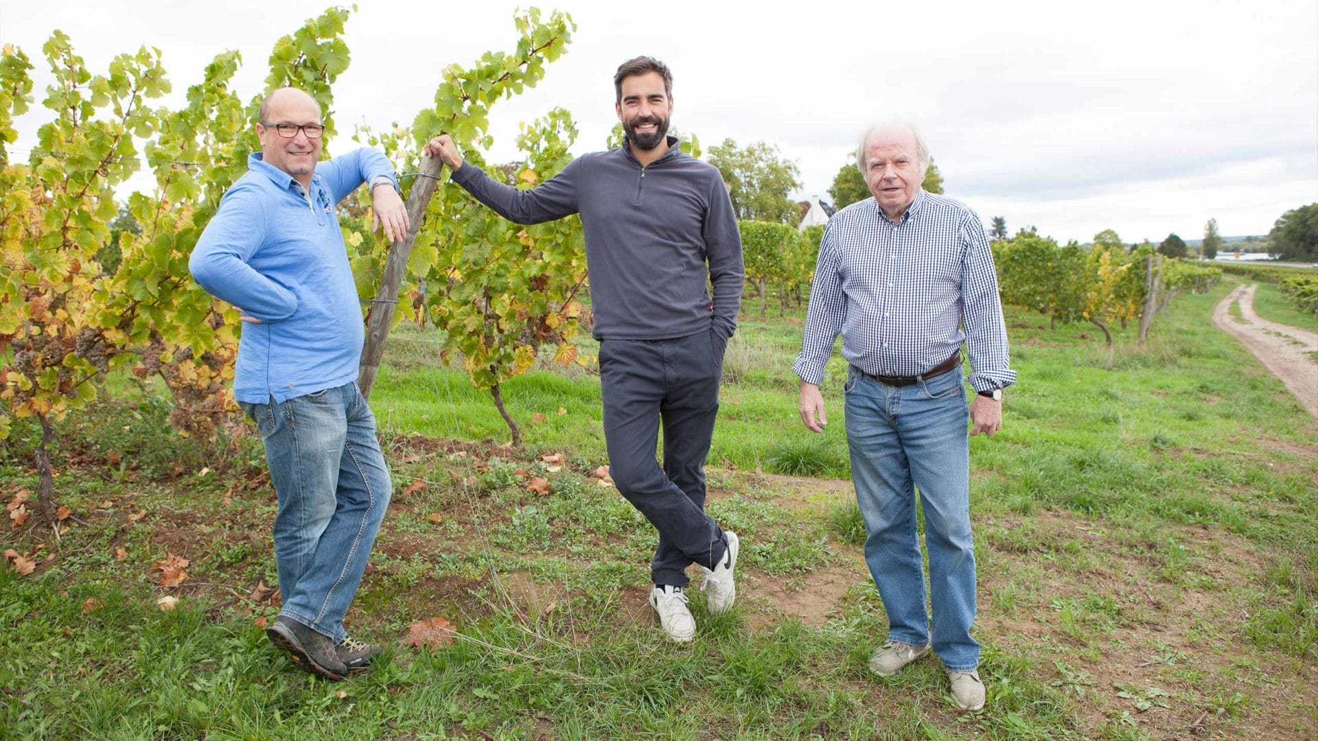 Ulrich Allendorf und sein Team bauen für uns Riesling im Jesuitengarten aus