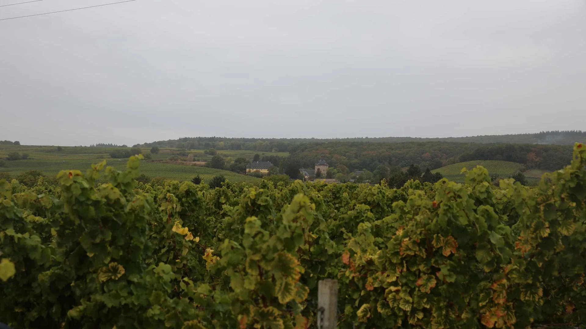 Landschaftsaufnahme der Umgebung des Jesuitengartens.