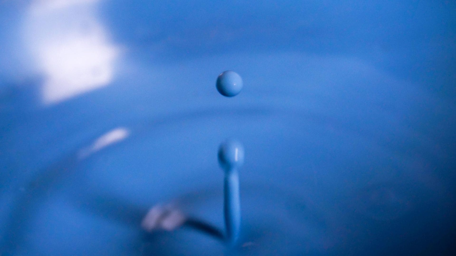 Ein Tropfen der blauen Milch im Fokus