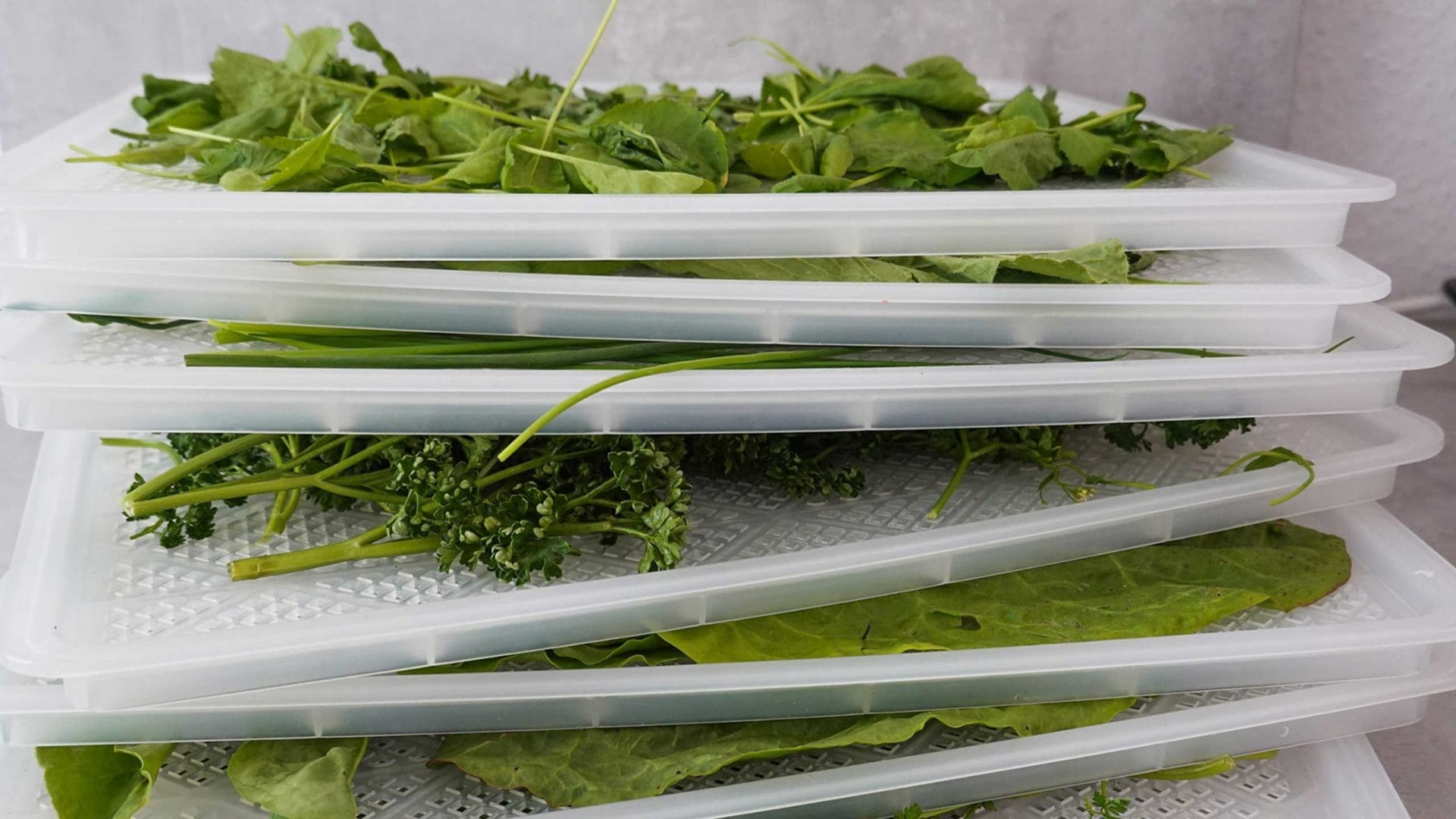 Different herbs on plastic sheets