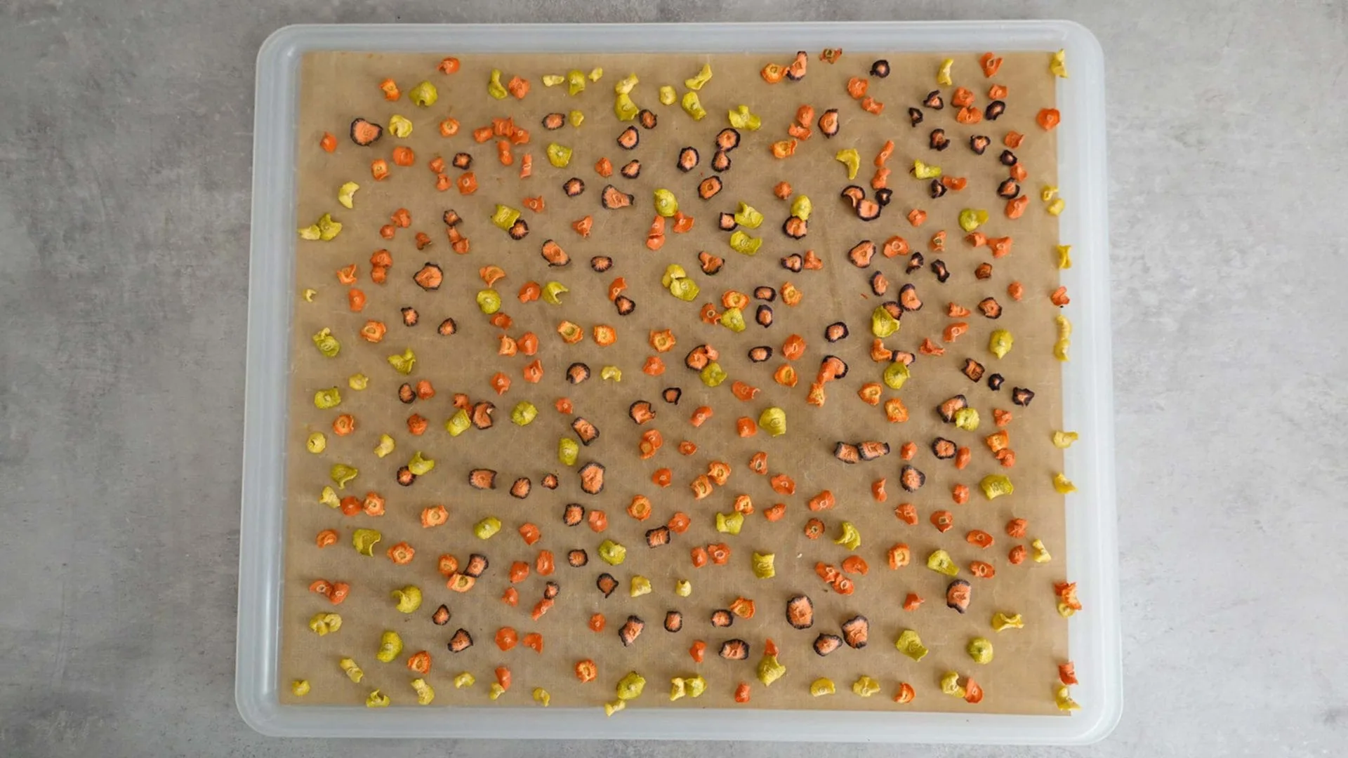 Gemüse Müsli - Nach dem Trocknen sind die Karotten geschrumpft.