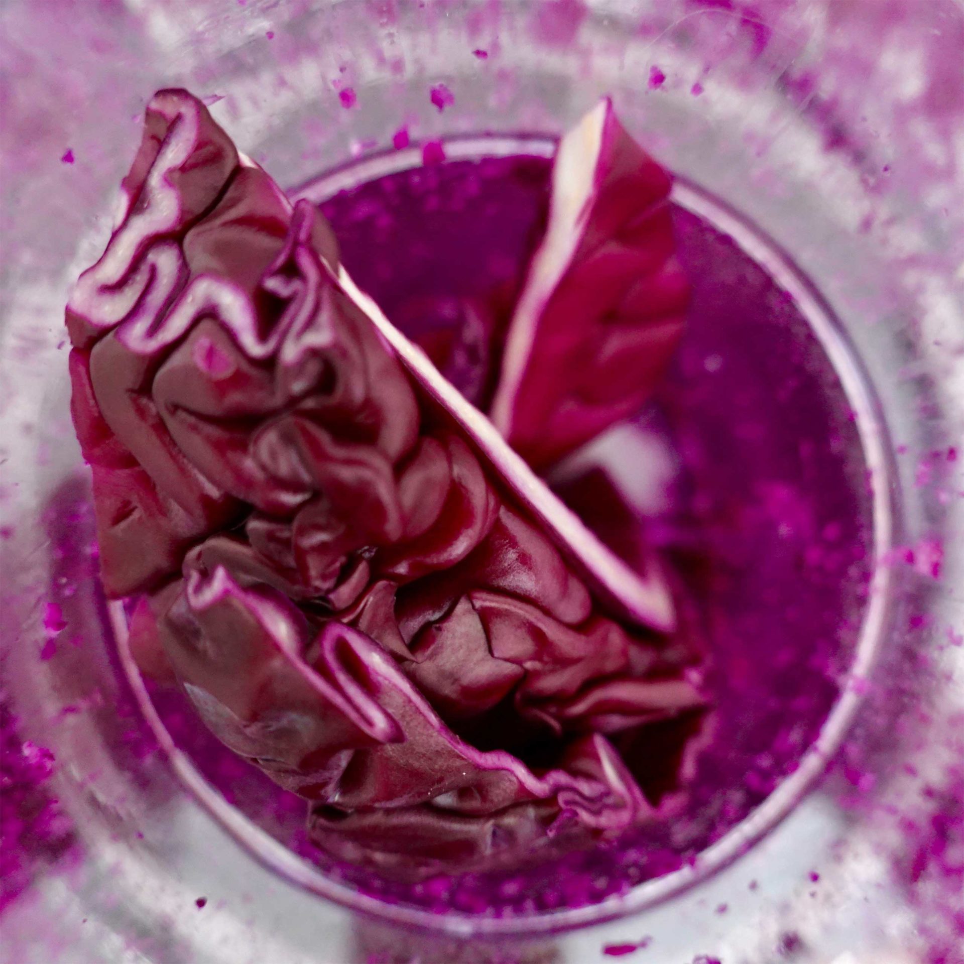 A head of red cabbage in the MILK. Food Lab Frankfurt