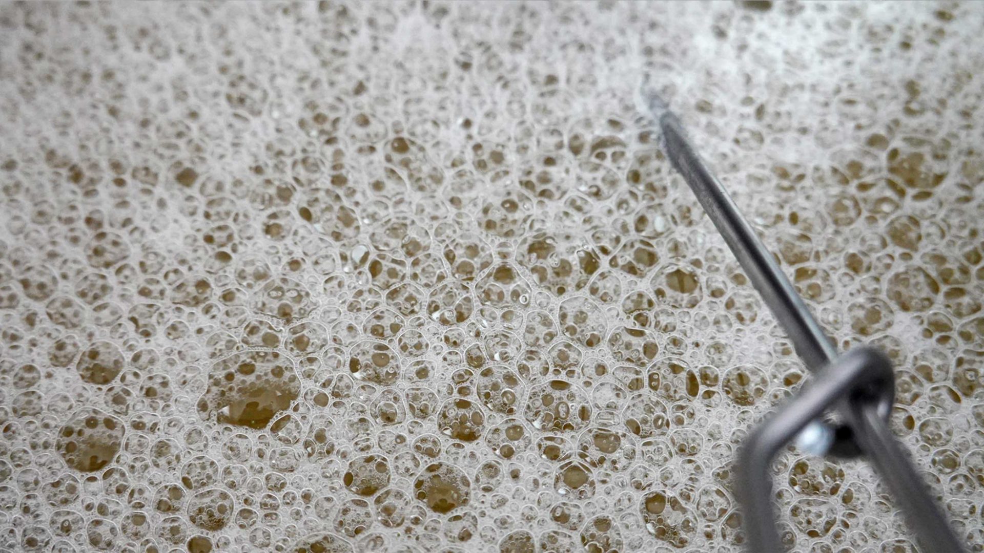 Honey wine - foam with hundreds of bubbles