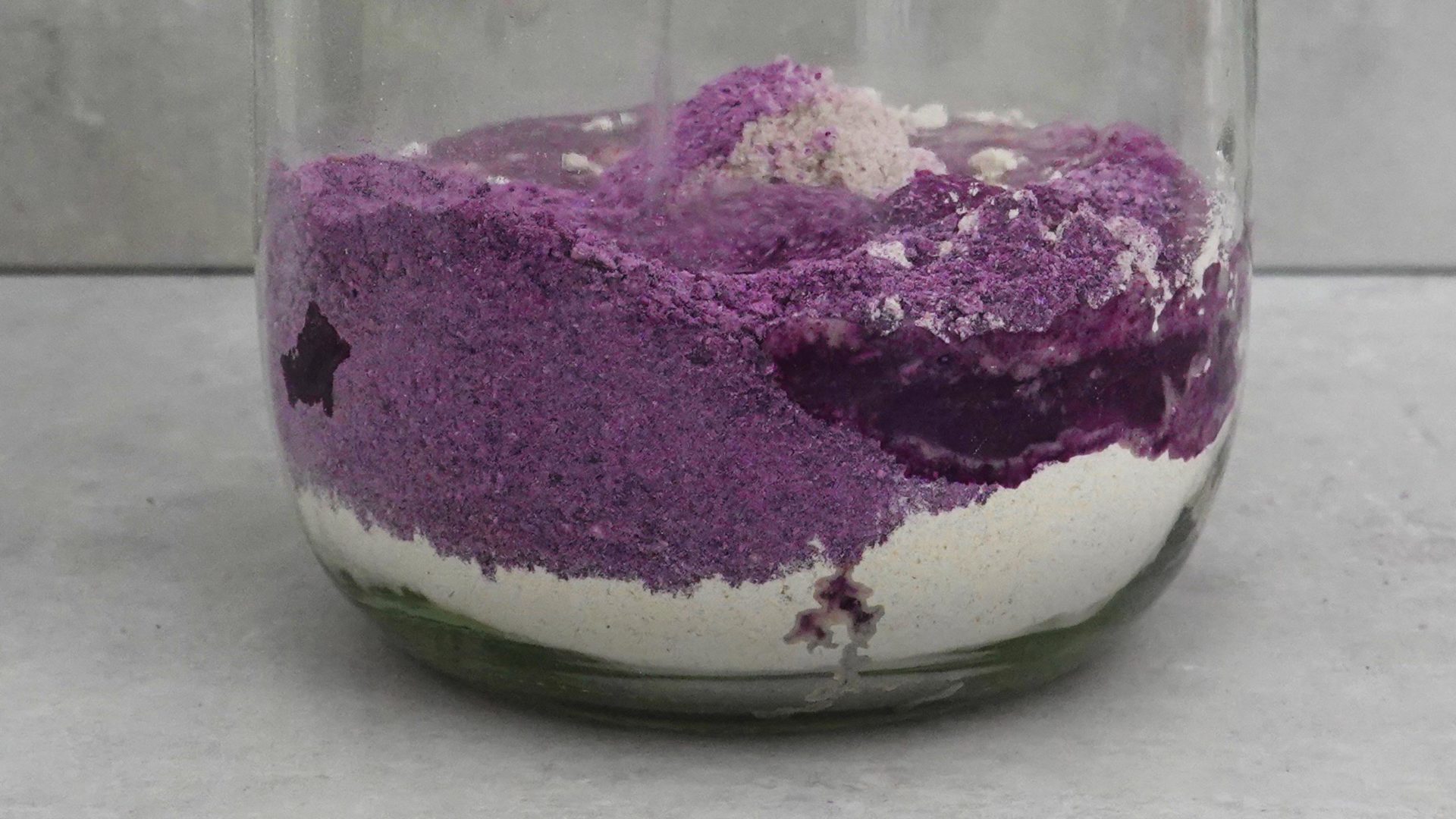 Red cabbage - cabbage pomace and flour are watered and thus become sourdough starter
