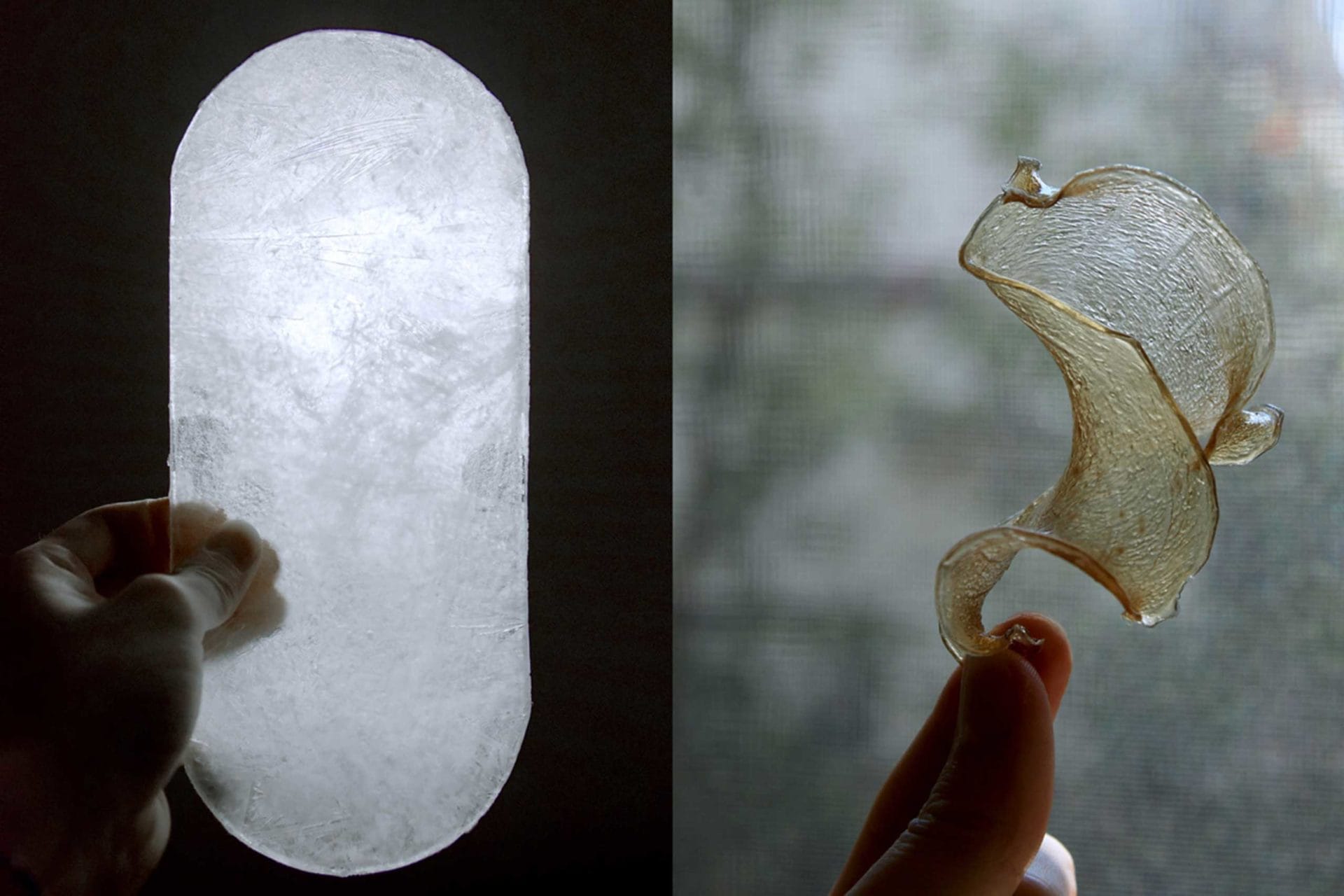 Agar Plasticity: Packaging based on marine algae