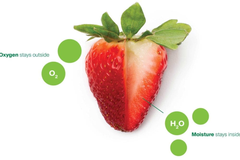MILK MaterialLab Apeel Apeel Sciences