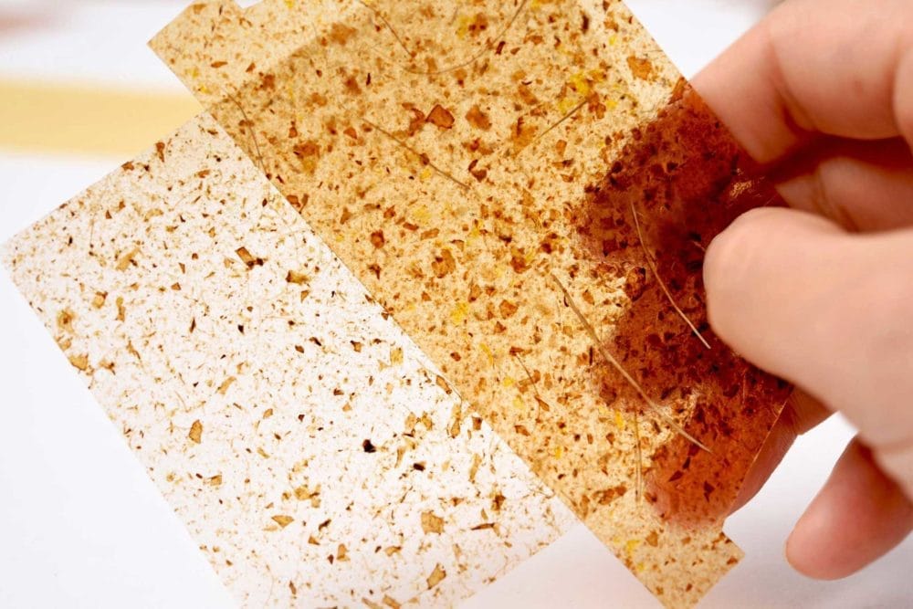 MILK MaterialLab Biowaste Material younyang song