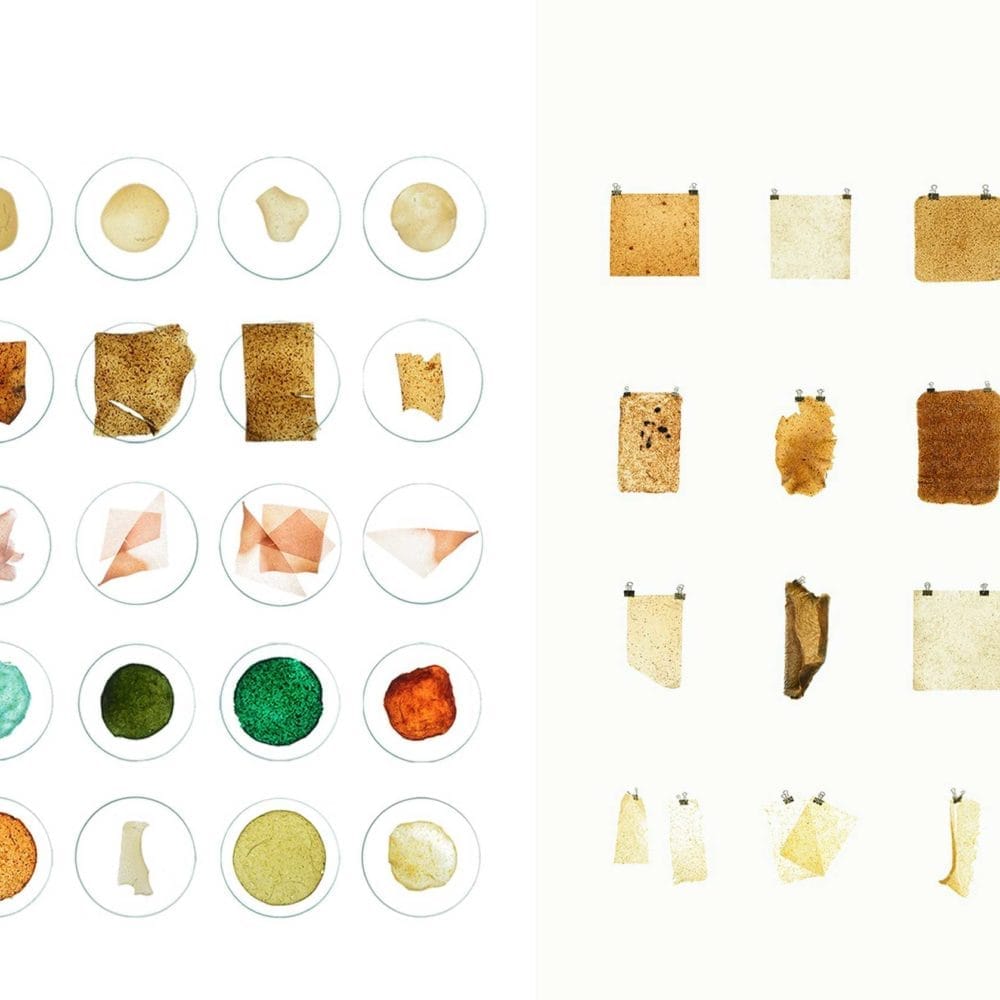 MILK MaterialLab Biowaste Material younyang song