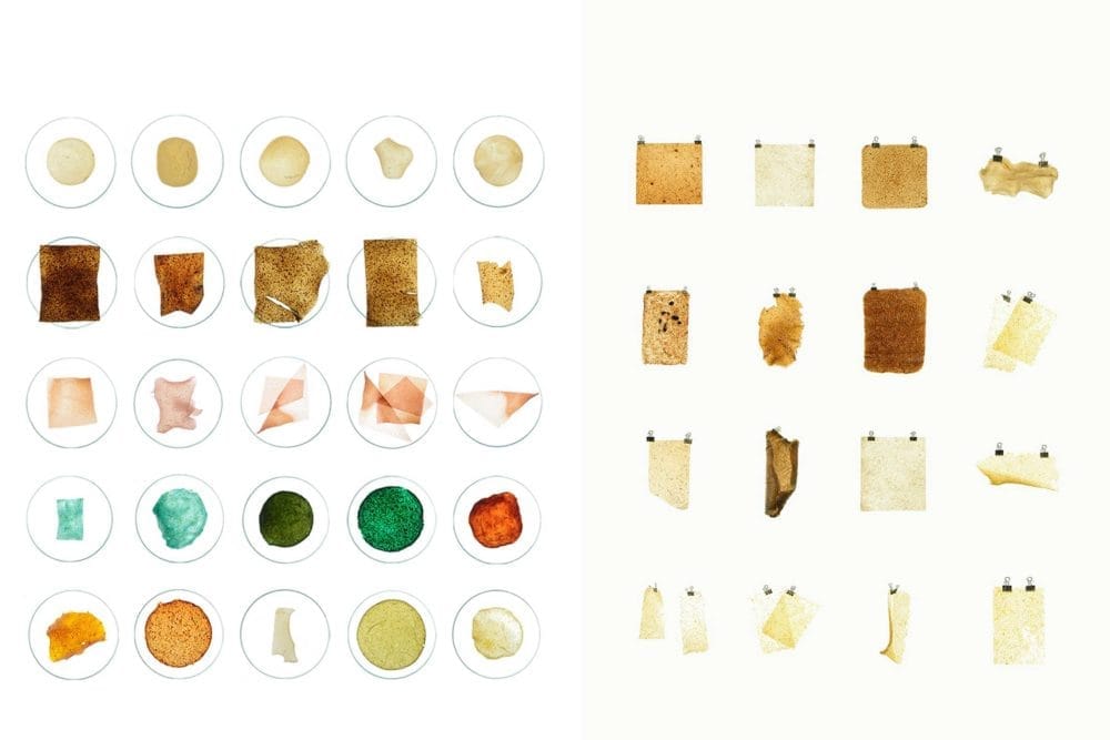 MILK MaterialLab Biowaste Material younyang song