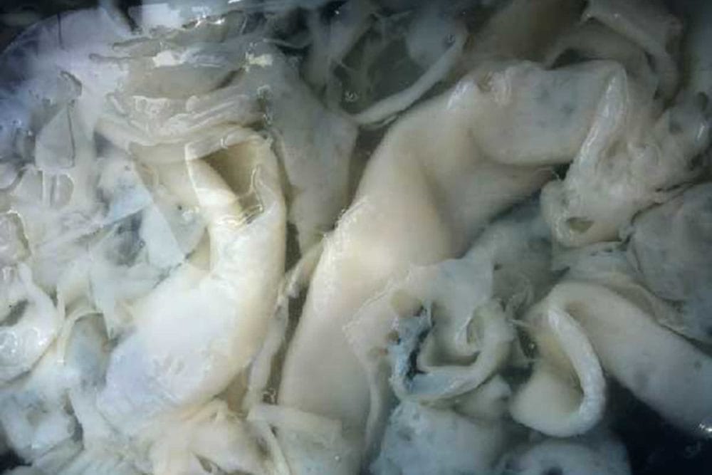 Malai Design & Materials