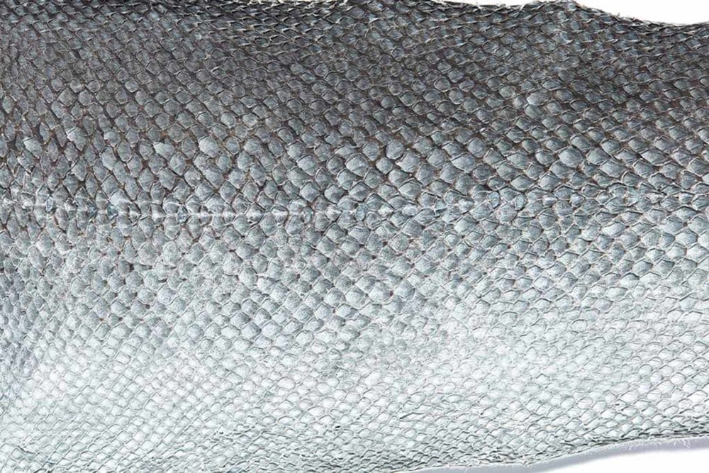 MILK MaterialLab Fish Leather NYVIDD