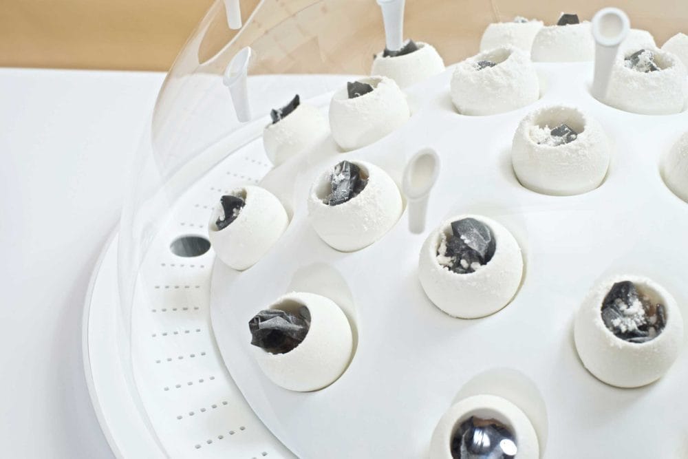 MILK MaterialLab Fungi Muratium