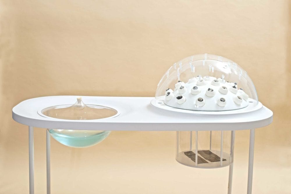 MILK MaterialLab Fungi Muratium