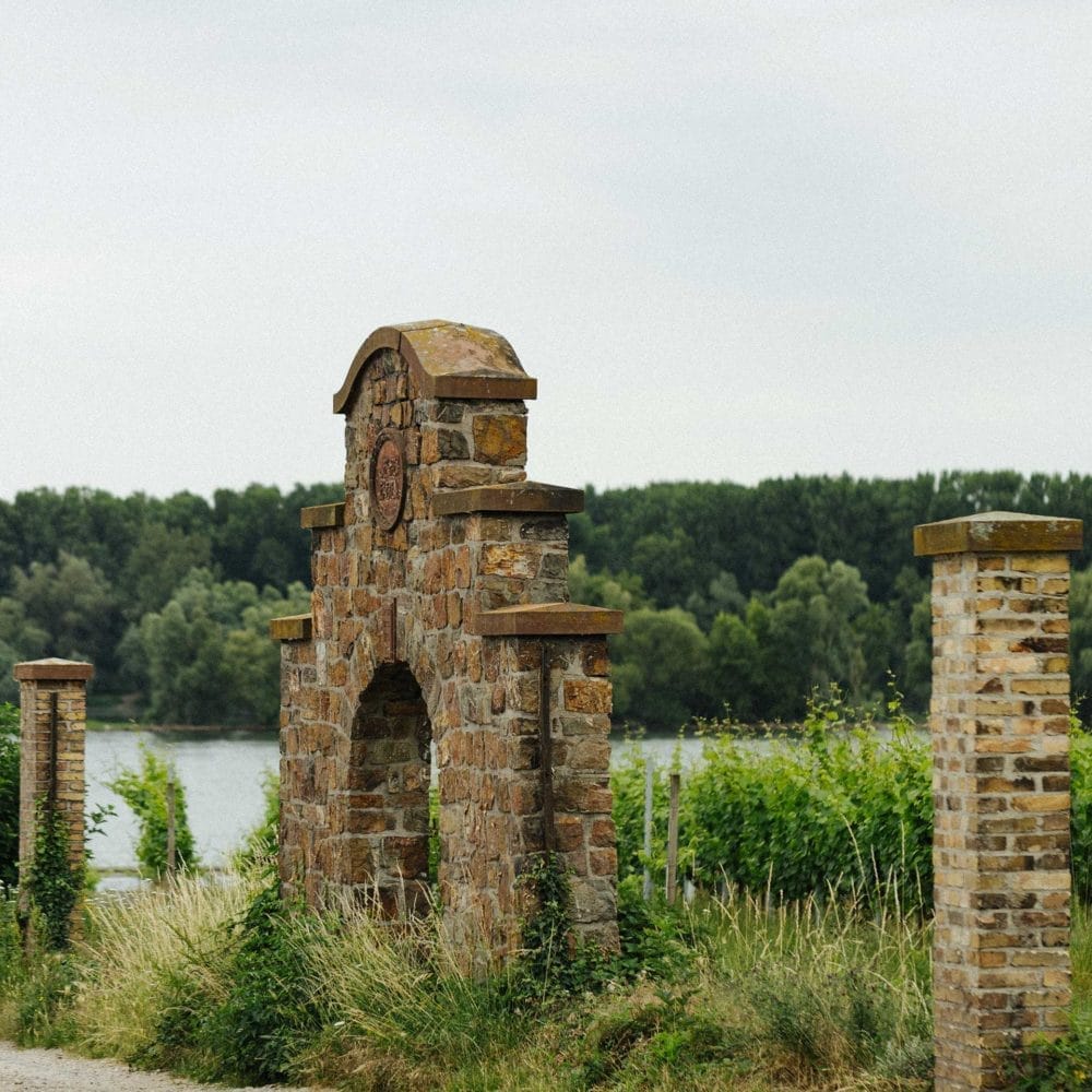 Weinlese Riesling - Das Tor zum Jesuitengarten mit einer tollen Umgebung