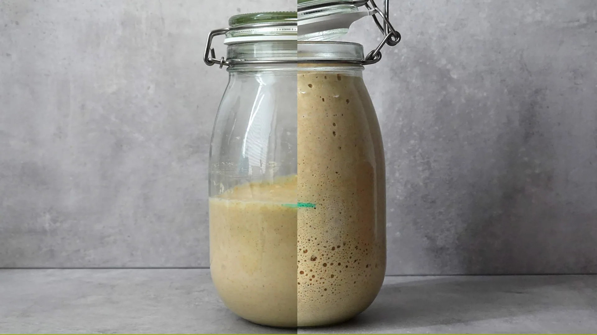 The sourdough lives