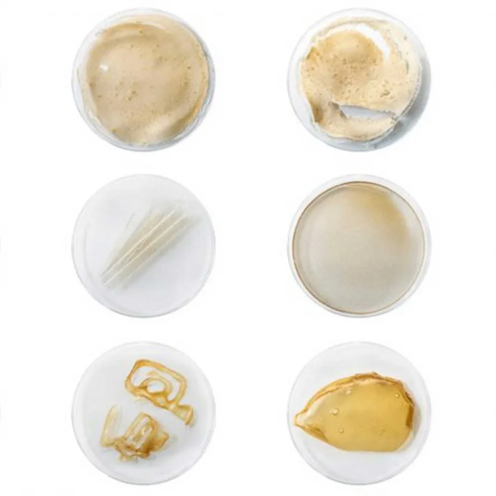 MILK MaterialLab TheShellWorks EdJones InsiyaJafferjee AmirAfshar AndrewEdwards