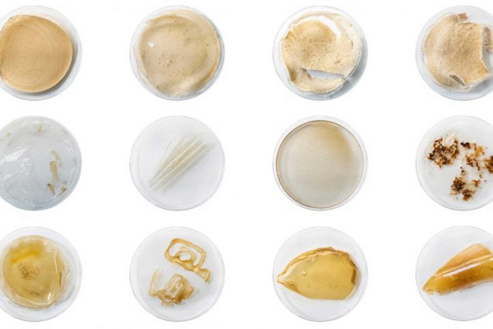 MILK MaterialLab TheShellWorks EdJones InsiyaJafferjee AmirAfshar AndrewEdwards