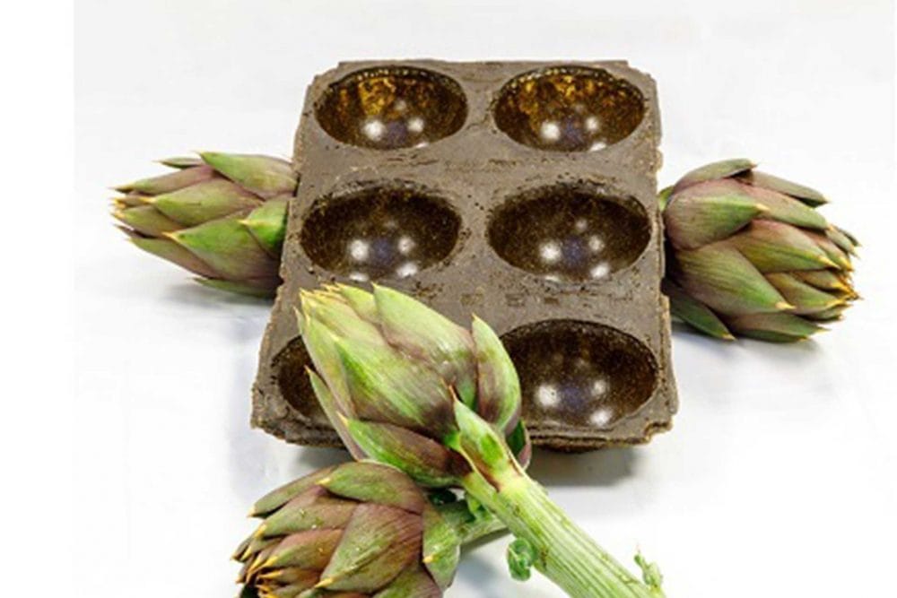 MILK MaterialLab SmartMaterials EdibleVegetableWasteBioplastics Alumni