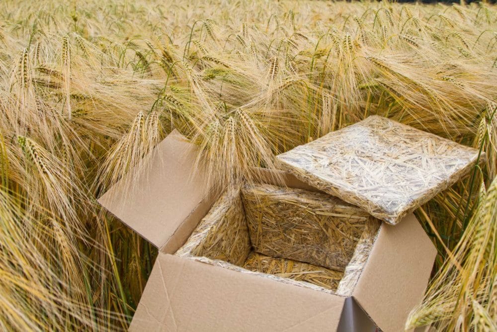MILK MaterialLab Landbox Landpack