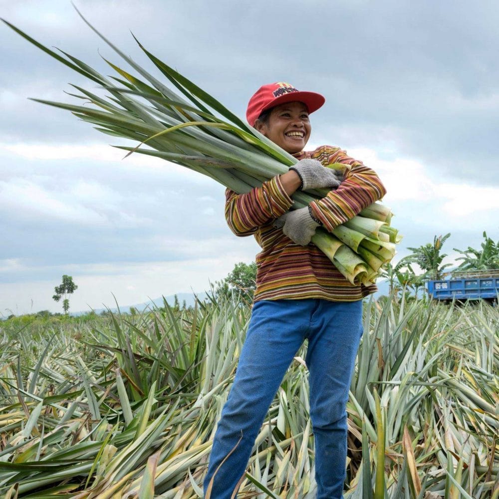 MILK-MaterialLab-Ananas-Aman-Piñatex-Dr.-Carmen-Hijosa-1