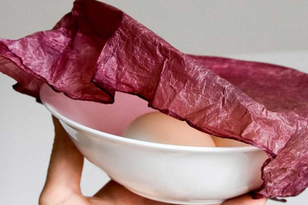 MILK MaterialLab ScobyPackaging MakeGrowLab