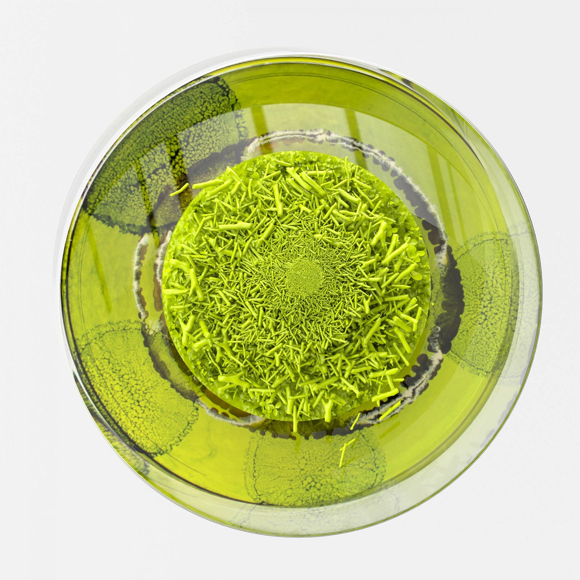 A modeled fantasy image of green microbiology.