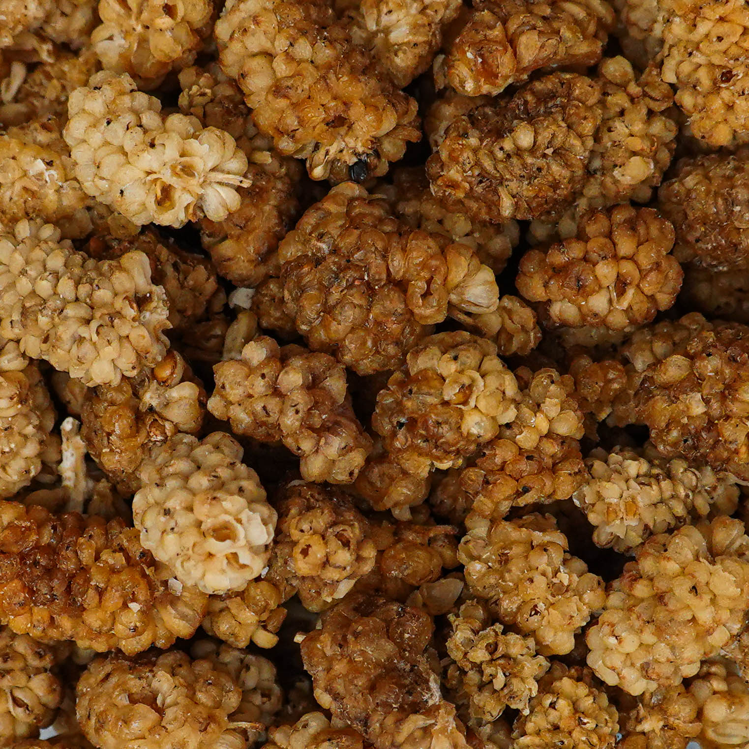 dry mulberries