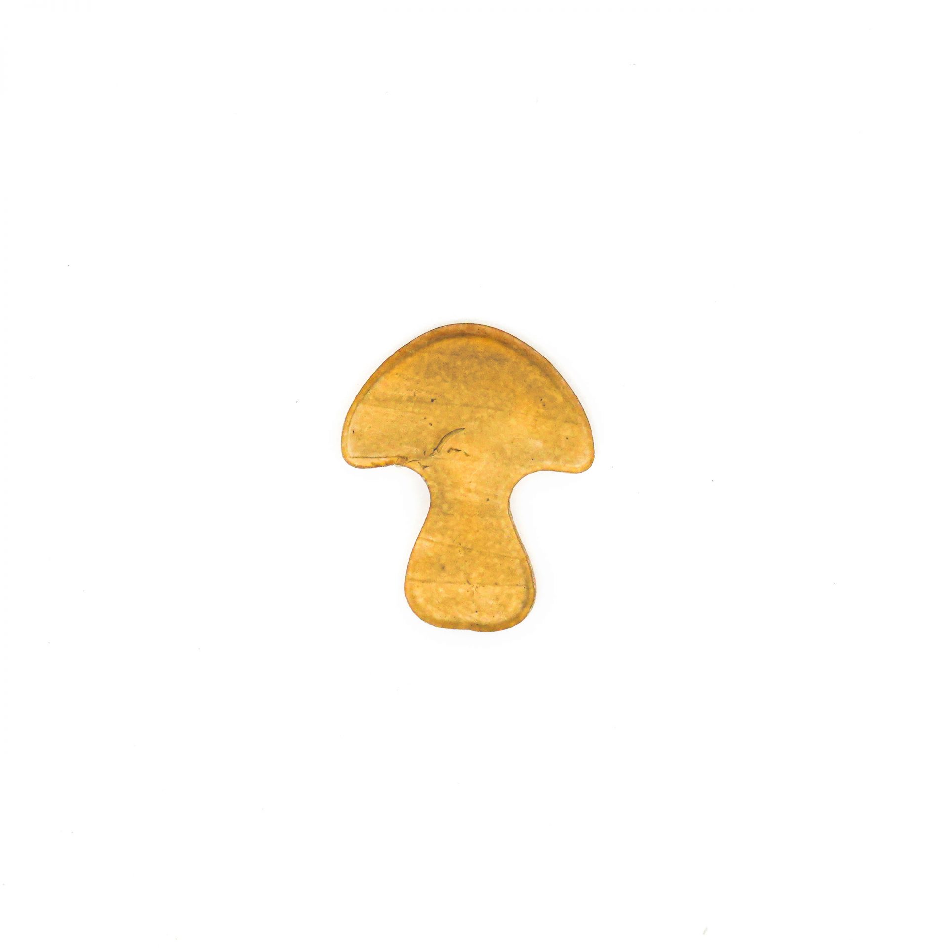Recipe development mushrooms as a snack