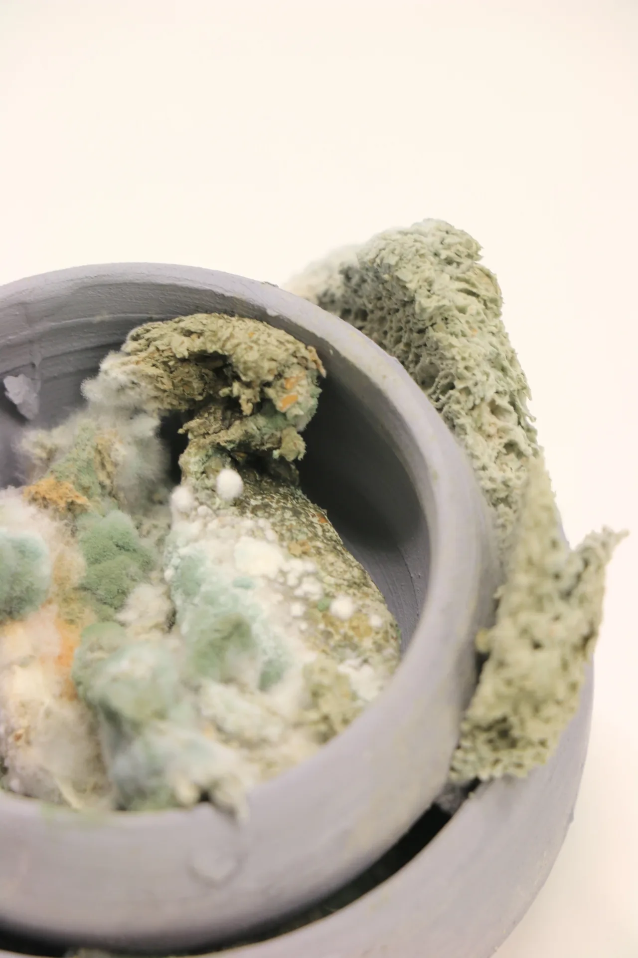 Vor dem Brand - 3 Komponenten Schimmel, Schale, Brot