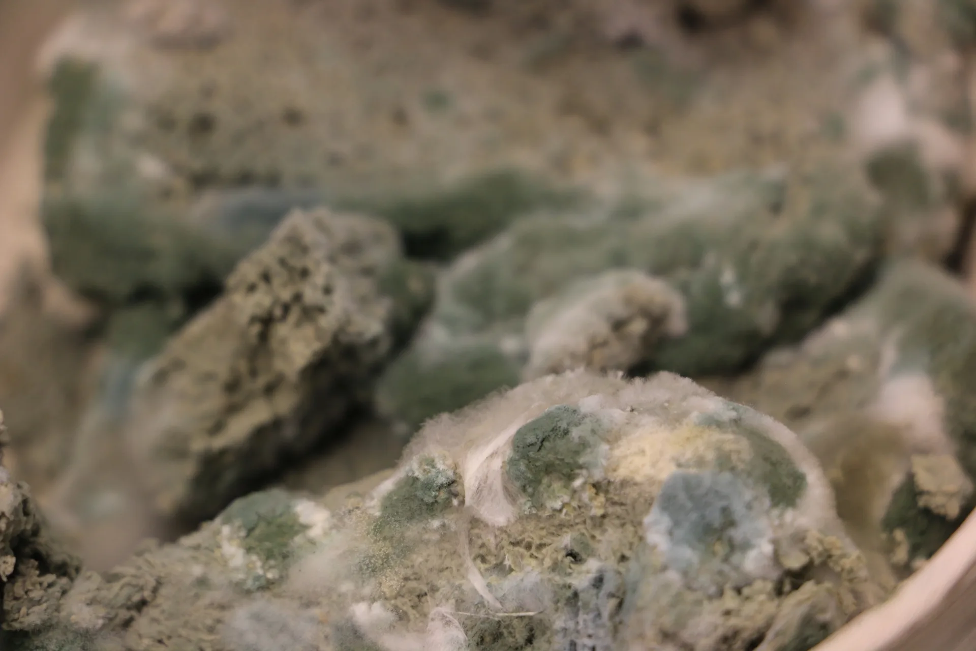 Schimmel und Brot in Keramik