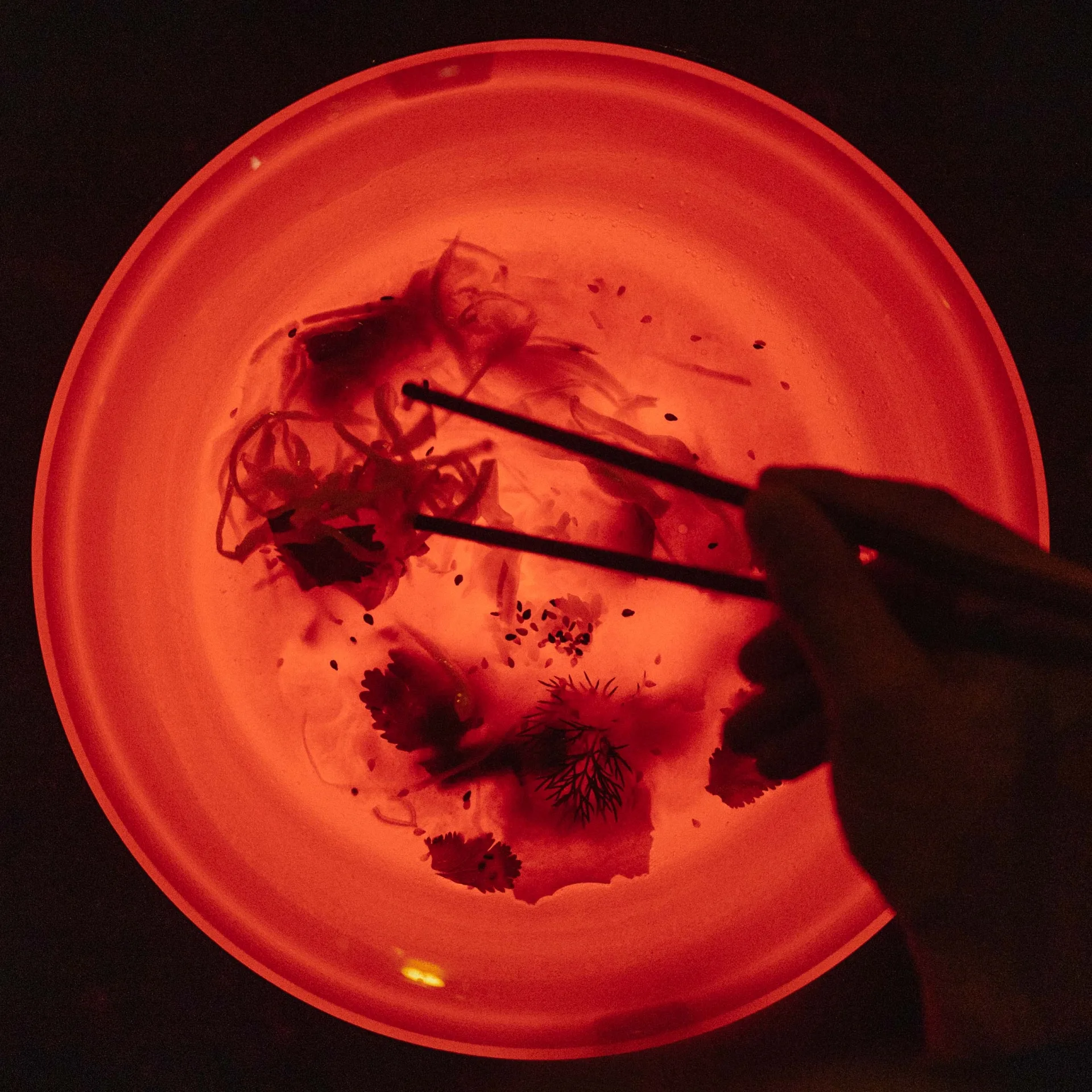 illuminierter Teller