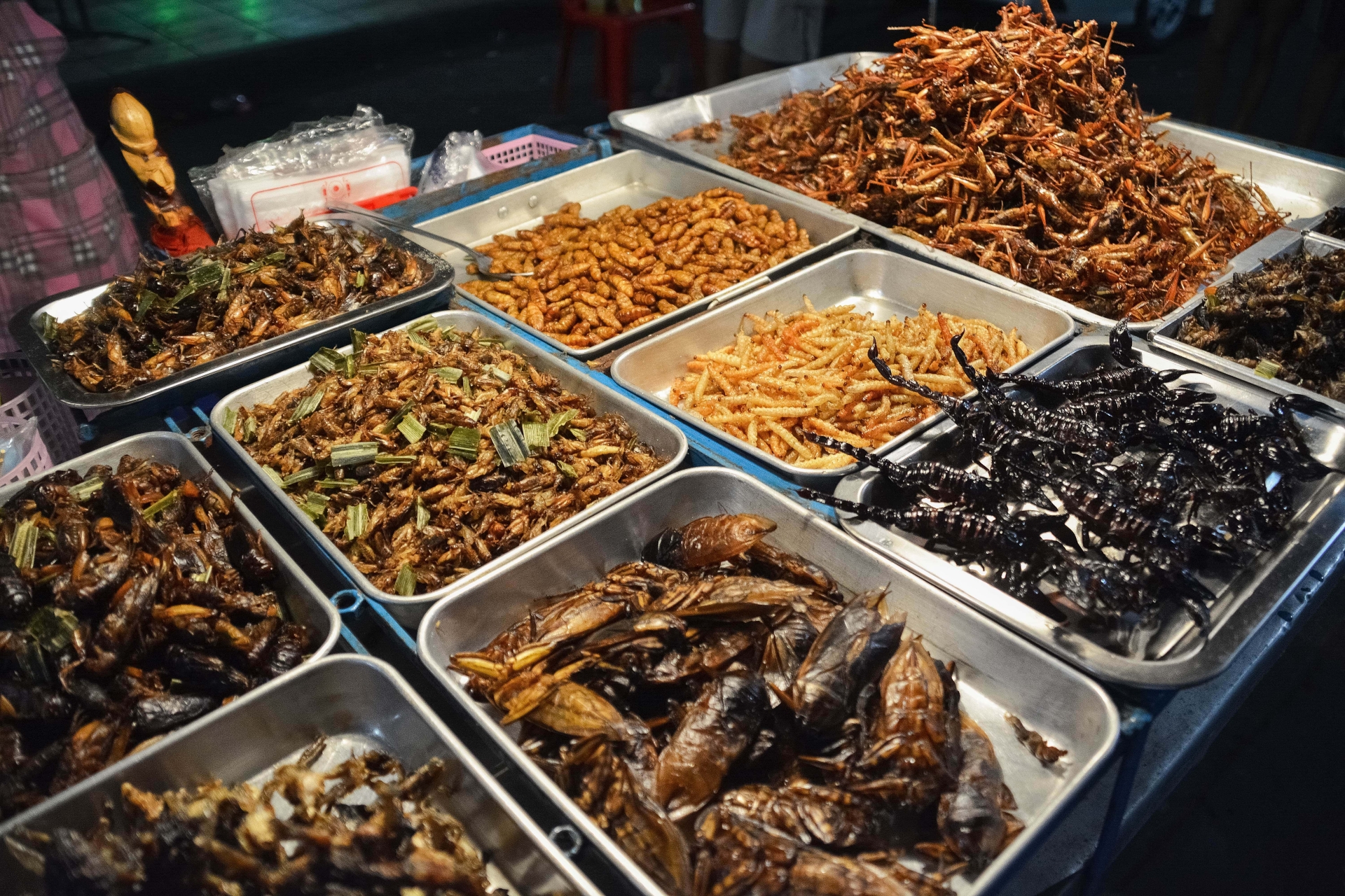 Ento Food: Insekten als Nahrungsmittel