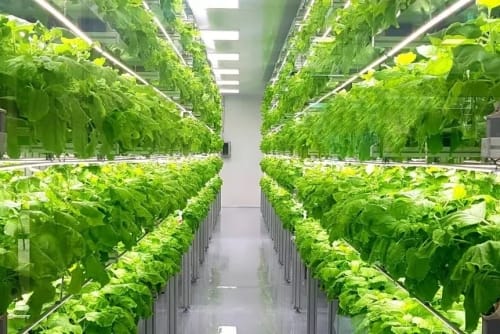 Future Food Trend Radar