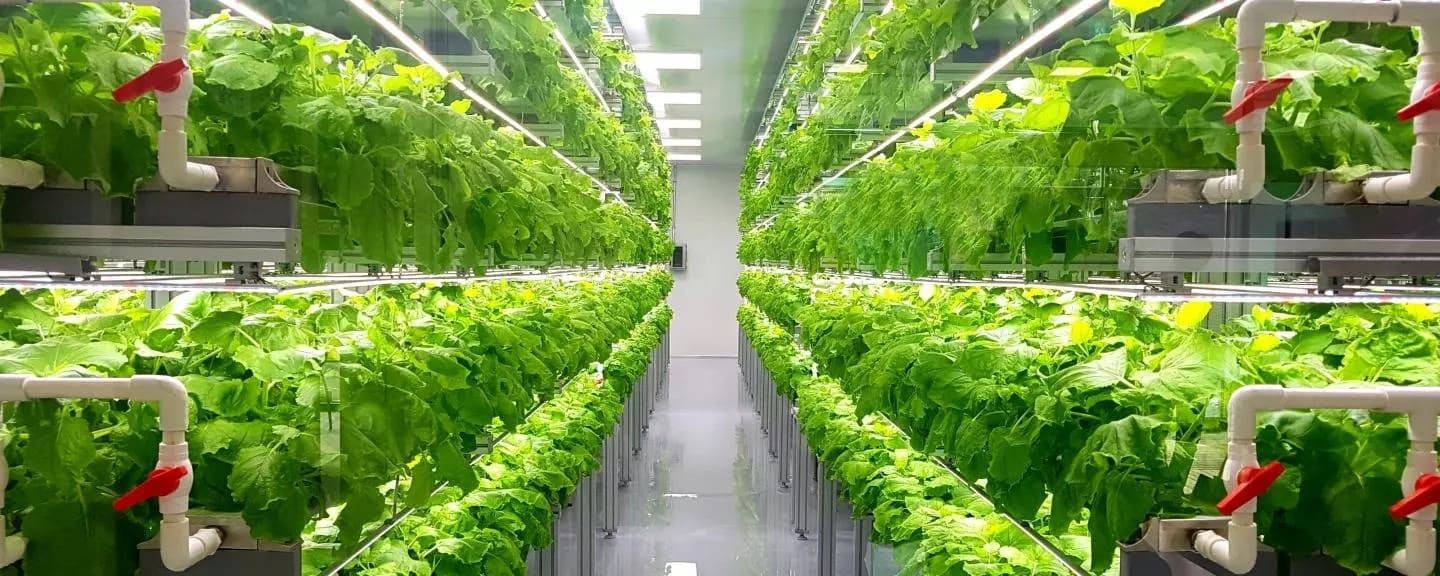 Vertical Farming: Farming in a high-rise building