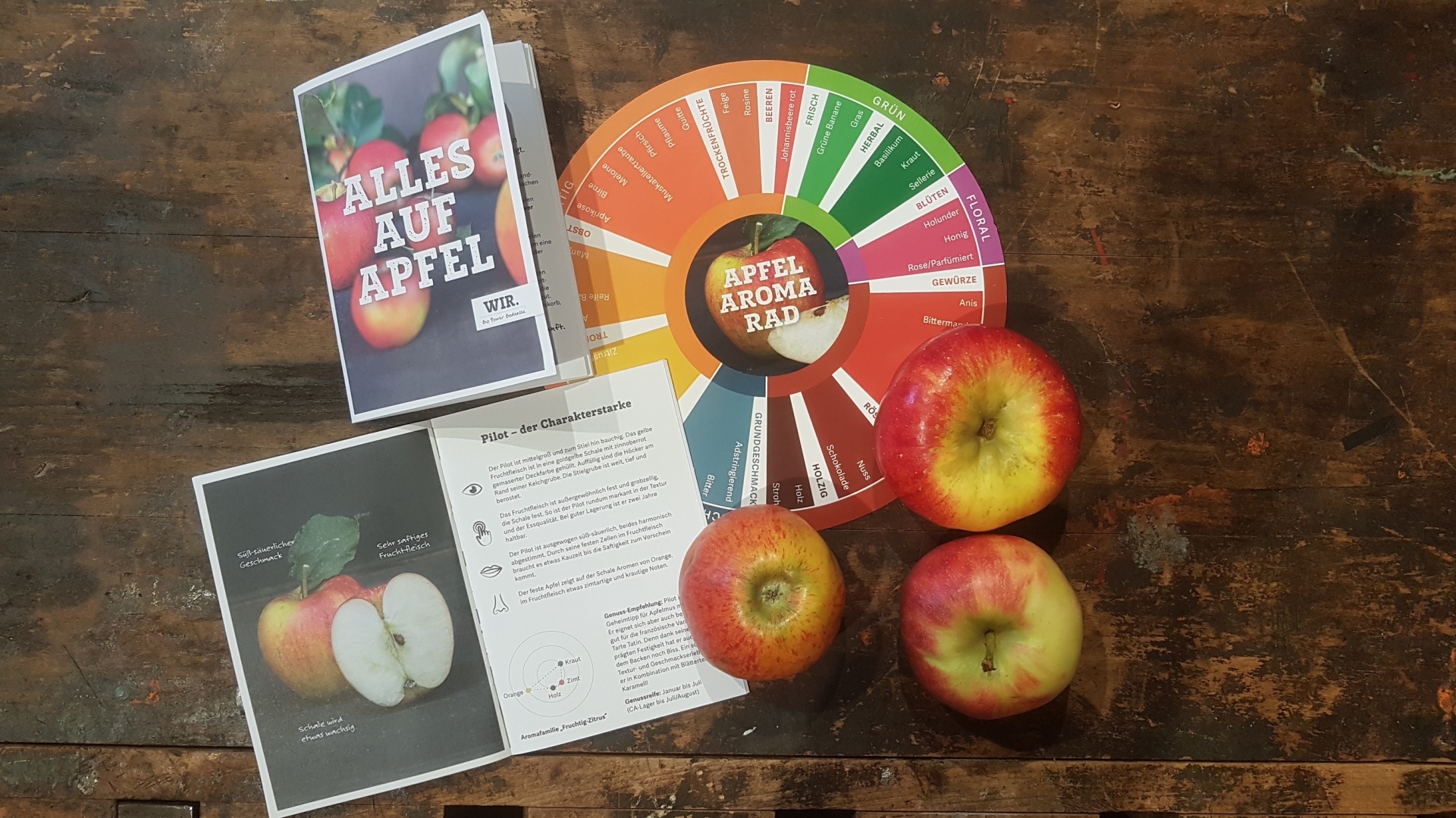 Flavors and sensory - Apple aroma wheel