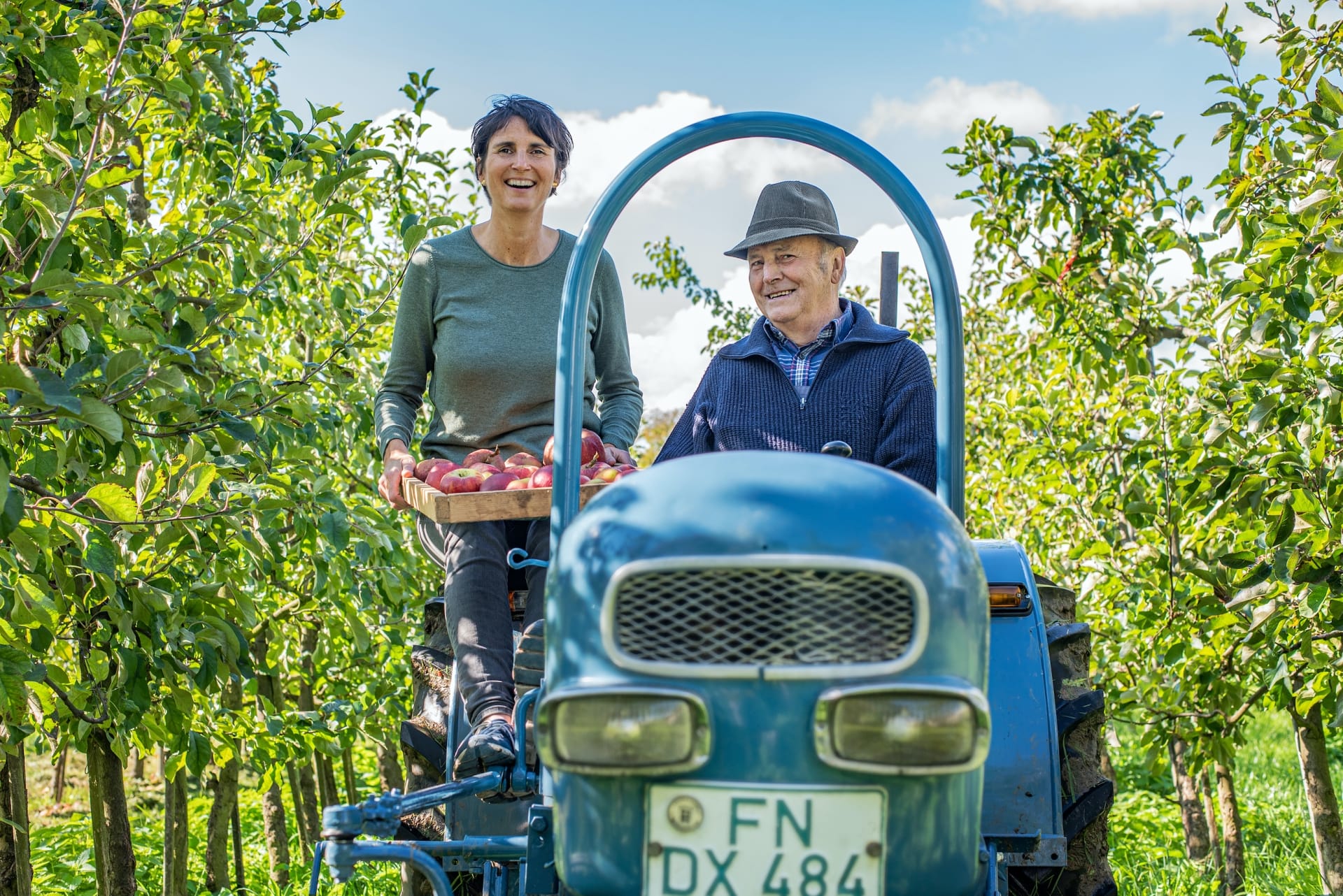 Flavors and sensory - apple picking