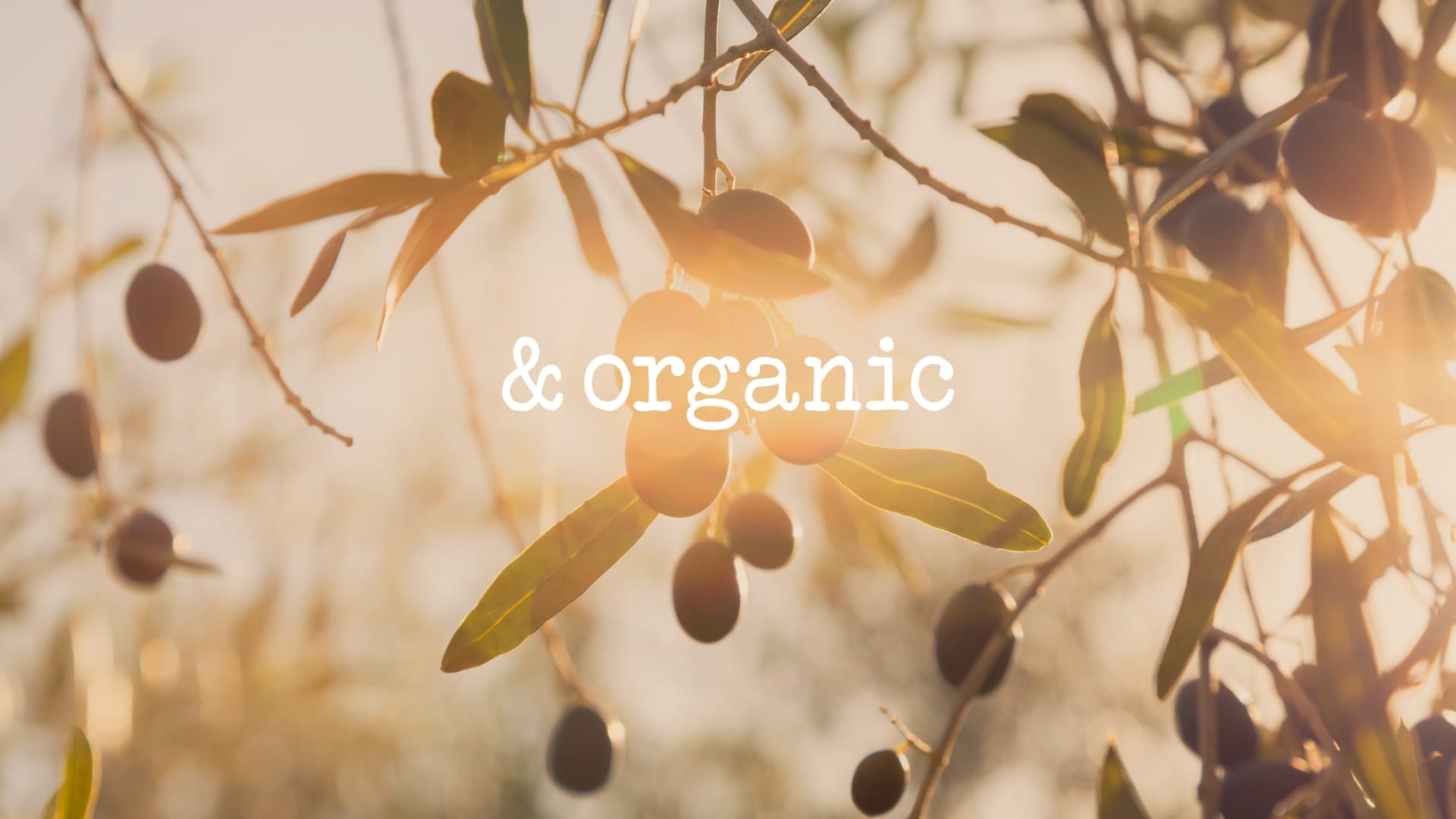 Organic alternative &amp;organic