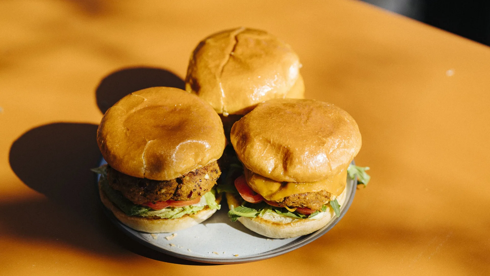 Waste burger on the plate