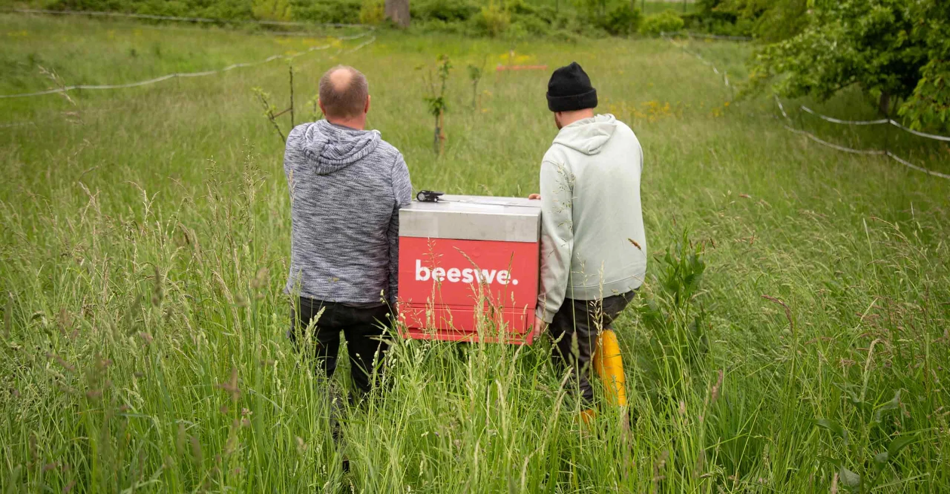 das Bienenjahr kann kommen
